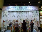 ͷгͨʵҵ޹˾107㽻չλ