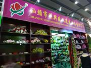 ͷʢ컨ʵҵ޹˾107㽻չλ-2