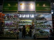 110㽻ͷʵҵ޹˾չλ